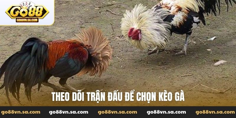 Theo dõi trận đấu để chọn kèo gà